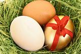 Brown,white and golden hen's egg in the grassy nest