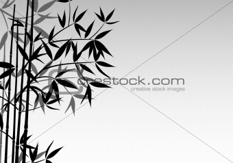 Bamboo background, vector