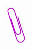 violet paper clip isolated on white background