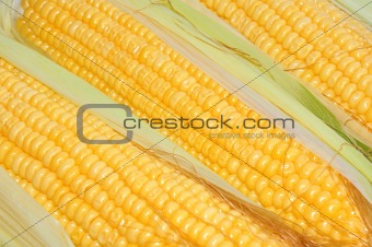 Sweet tasty corn background