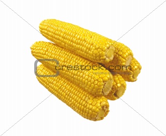 Sweet corn isolated on white background 