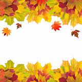 Autumn card of colored leaves over white