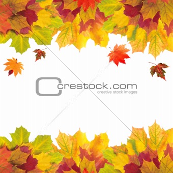Autumn card of colored leaves over white