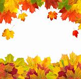 Autumn card of bright multicolor leaves