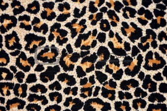 abstract texture of leopard skin