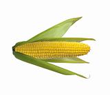 Tasty corn isolated on white background 