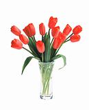 beautiful bouquet of red tulips in vase isolated on white backgr