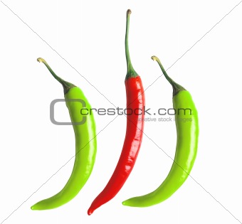 hot chili peppers isolated on white background