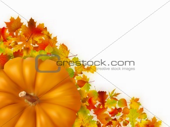 Fall leaves with pumpkin.