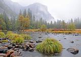 Riverbank on Cold Misty Morning in Yosemite