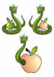 Snake and apple vector