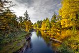 Fall Colors along Thomas Creek Oregon