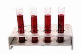 Medical test tubes with blood in holder on white background 
