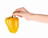 Orange pepper in hand isolated on white
