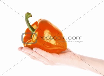 Red pepper in hand isolated on white
