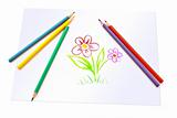 Children's drawing pencils on which are drawn a flower

