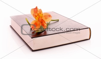 Hard cover book with flower isolated on white