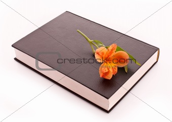 Hard cover book with flower isolated on white