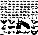 Large collection of vector arms, hands.