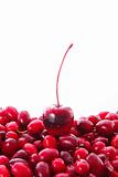 cherry and cranberries on white background
