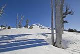Mount Hood Ski Slope