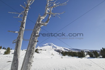 Mount Hood Ski Slope 2