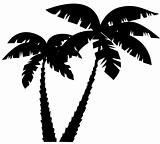 palm silhouettes
