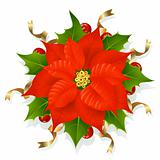 Christmas flower