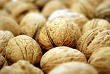 Background with walnuts