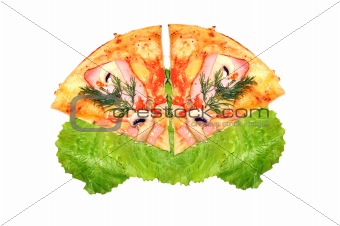 Two slices of pizza isolate on white