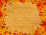 Autumn background on wooden board