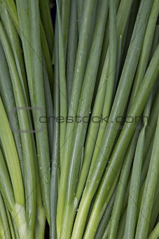 Green Onions Background