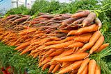 Organically Grown Carrots