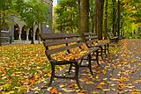 Fall Leaves on Benches Along Park 3