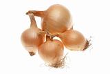 Four ripe onions