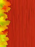 Fall coloured leaves. EPS 8 vector file included
