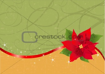 Red poinsettia Christmas background