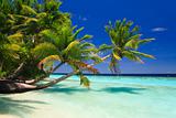 Tropical Paradise at Maldives