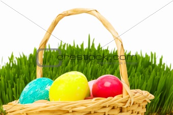 Eggs in the basket and grass isolated on white