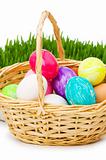 Eggs in the basket and grass isolated on white