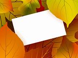 Blank card surrounded by beautiful autumn leaves