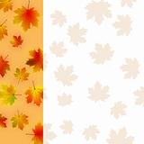 Colorful autumn leaves card.