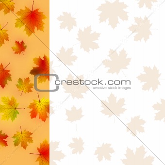 Colorful autumn leaves card.