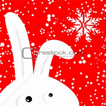 Funny rabbit on red christmas snowing background