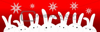 Funny rabbits on red christmas background