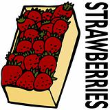 Box Strawberries