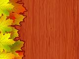Fall coloured leaves. EPS 8 vector file included