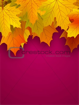 Yellow fall leaves on a red background.