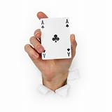 Hand holds ace of clubs isolated on white background
