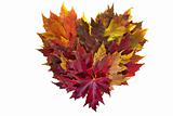 Maple Leaves Mixed Fall Colors Heart Wreath
